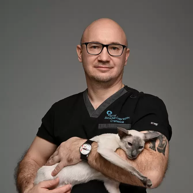 Степанов Виталий Сергеевич